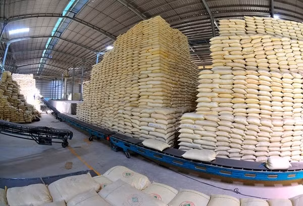Xuất khẩu gạo của Việt Nam vào Liên minh châu Âu còn nhiều tiềm năng. Ảnh minh họa