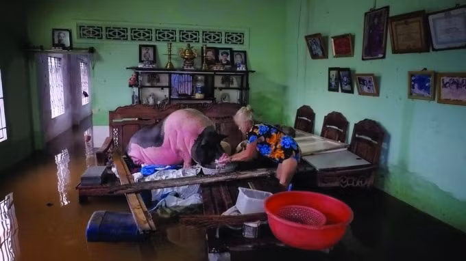 Người và gia súc tại khu vực ngập nước Thủ Thiêm - quận 2. Ảnh: Hữu Khoa