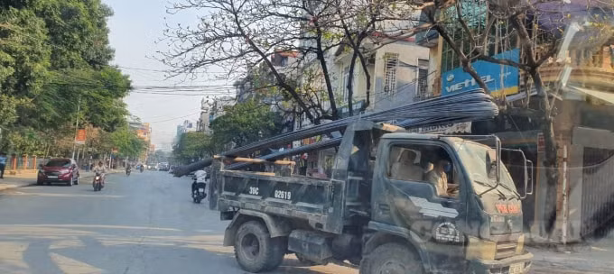 Là nỗi 