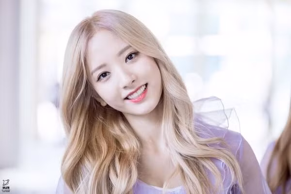 Bona