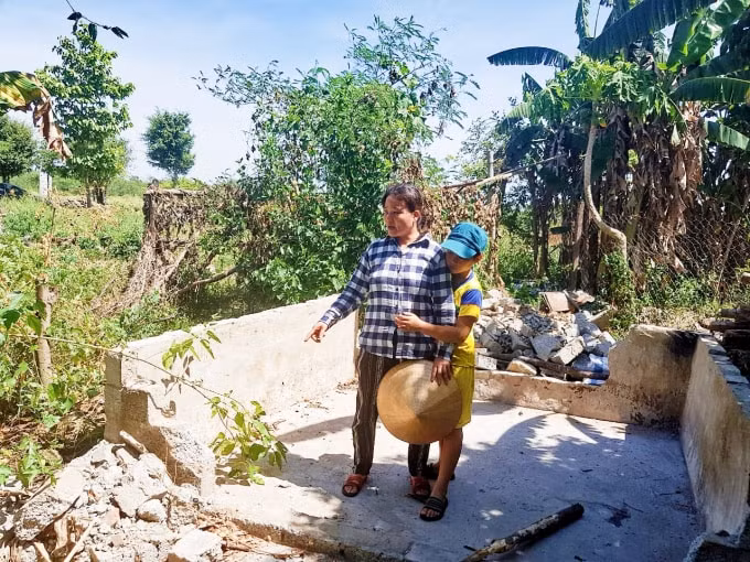 Chuồng chăn nuôi bò và cây cối của gia đình chị Thắm đã bị phá hết.