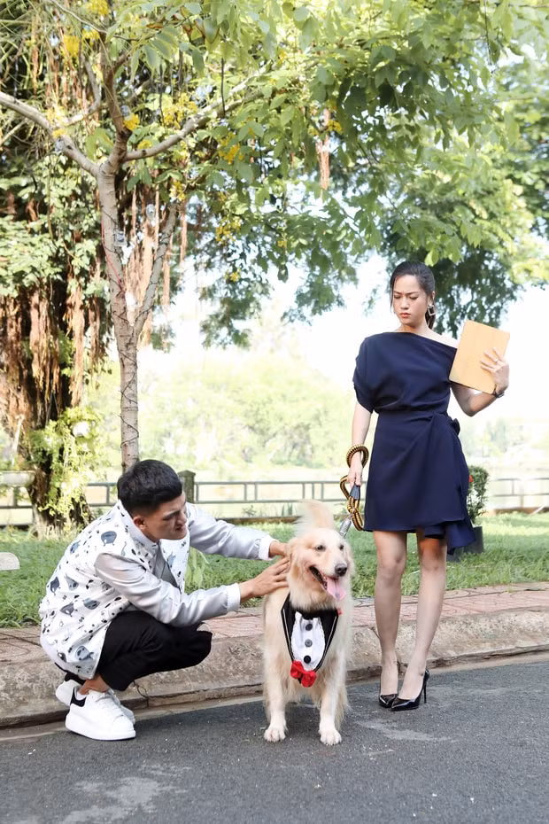 Hình ảnh trong MV 