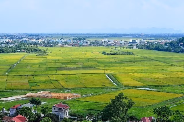 Cần xây dựng hệ thống cơ sở dữ liệu quản lý đất đai đồng bộ. Ảnh minh họa