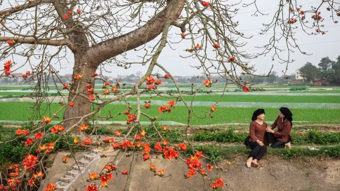Không chỉ các bạn trẻ, các chị tuổi trung niên cũng tìm đến đây, đóng bộ để ghi lại những khoảng khắc hoa gạo nở.