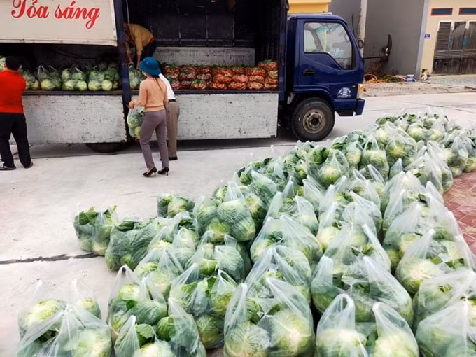 Các sàn TMĐT sẽ kết nối để tiêu thụ nông sản cho bà con nông dân vùng dịch. Ảnh TL