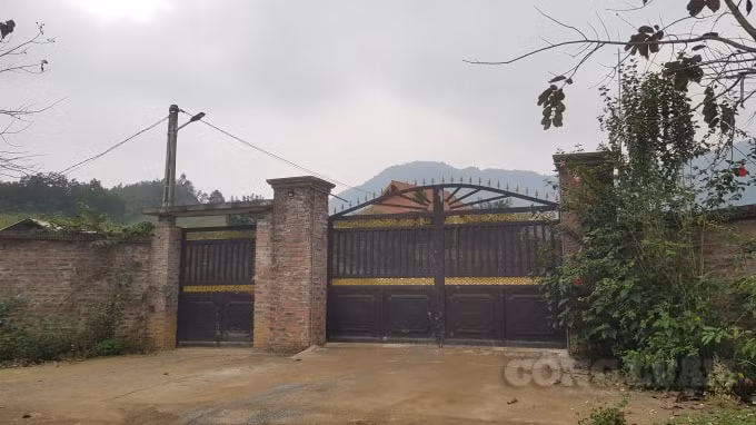 Trang trại gà này thường xuyên 