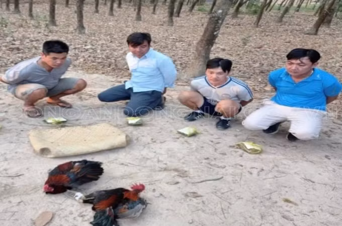Các đối tượng và tang vật vụ án.