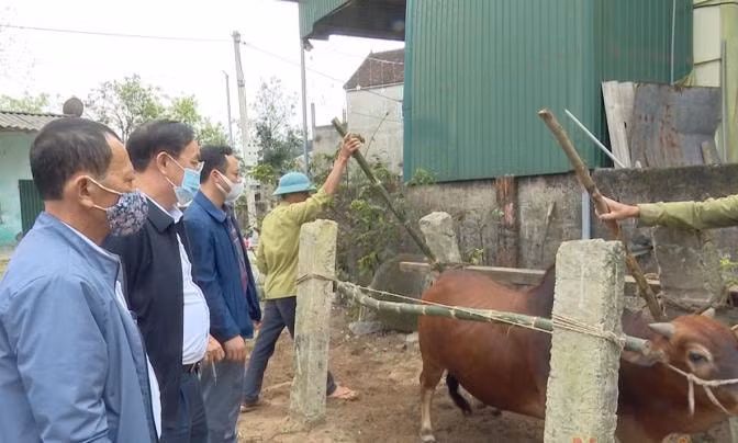 Các địa phương thực hiện tiêm phòng vắc-xin để khoanh vùng, bao vây khống chế dịch.