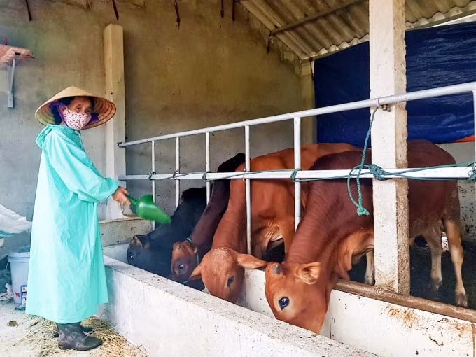 Người dân cần có ý thức chăm sóc đàn gia súc, vệ sinh chuồng trại thường xuyên để hạn chế mầm bệnh, hạn chế chăn thả tại các bãi tập trung,...
