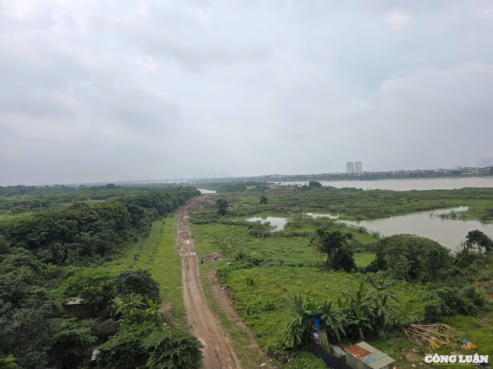 Bãi bồi và bãi giữa sông Hồng thuộc địa phận Hà Nội