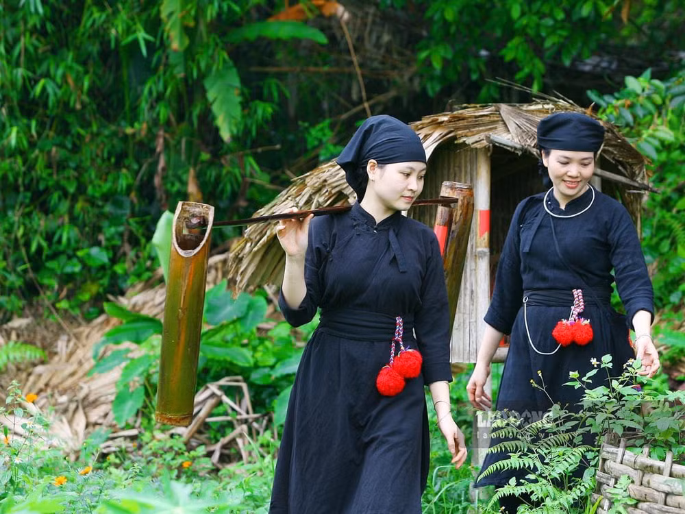 thai-hai-thai-nguyen-02.jpg