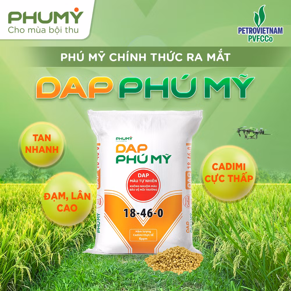 Giới thiệu DAP_1x1 (2)
