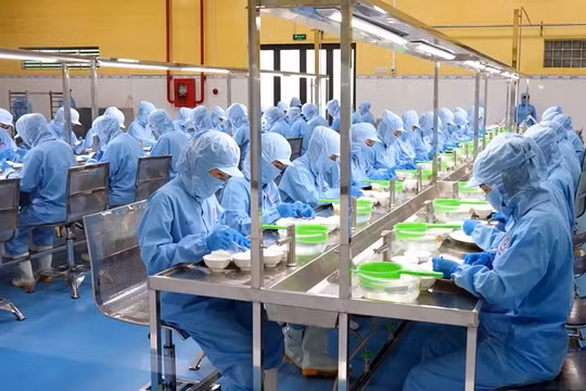 Yến sào Khánh Hòa lọt Top 100 doanh nghiệp nộp ngân sách lớn nhất