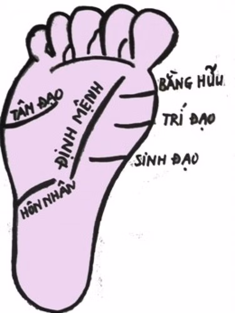 y nghia duong tri dao trong long ban chan hinh 1