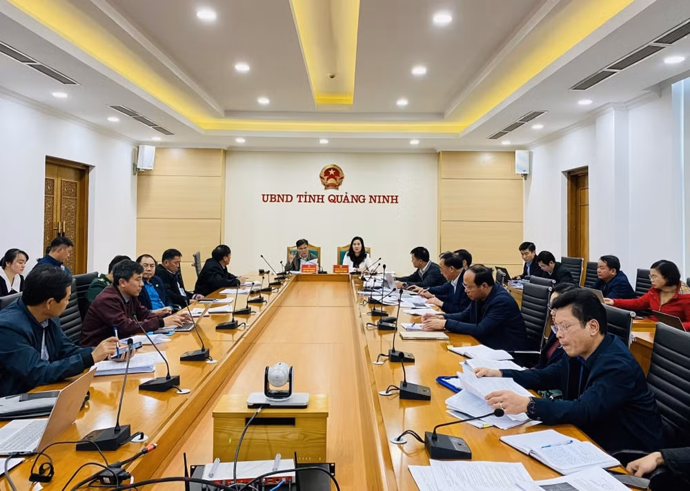 quang ninh nghien cuu bo sung diem du lich moi tren vinh bai tu long hinh 1