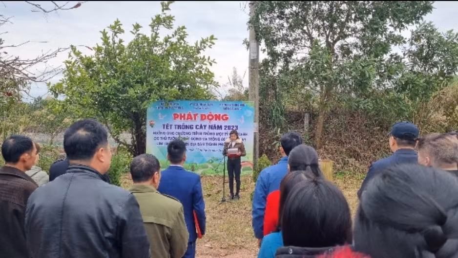 cong ty nhiet dien mong duong trong tren 800 cay ngay trong le phat dong trong cay xuan quy mao hinh 4