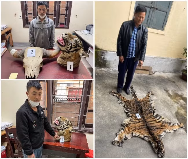 khoi to 3 doi tuong mua ban dong vat hoang da quy hiem hinh 1