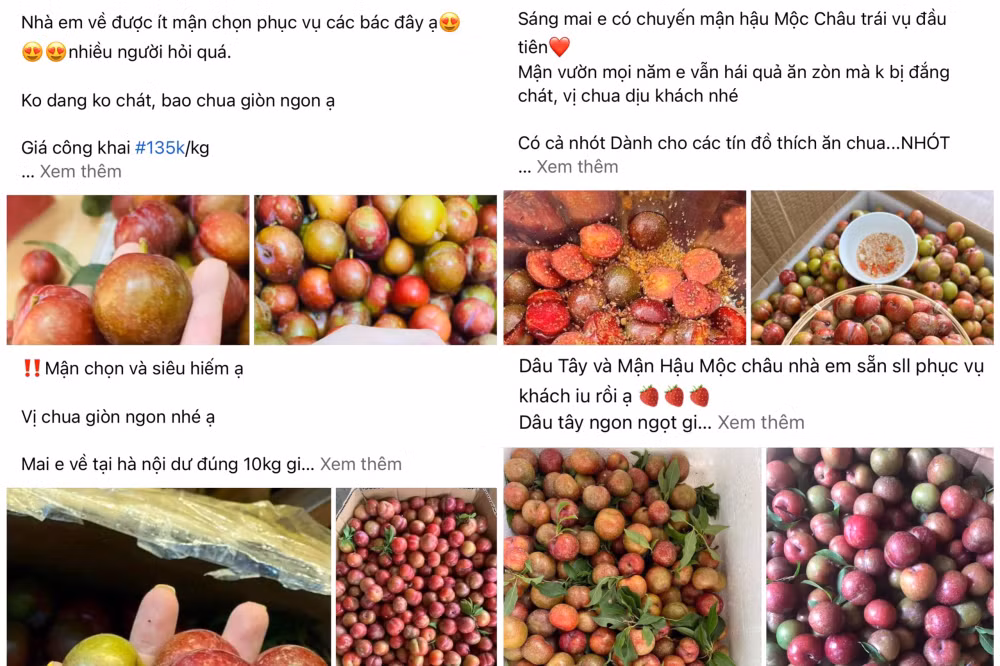 man hau dau mua dat do gia vai tram nghin dong kg nhung van chay hang hinh 3