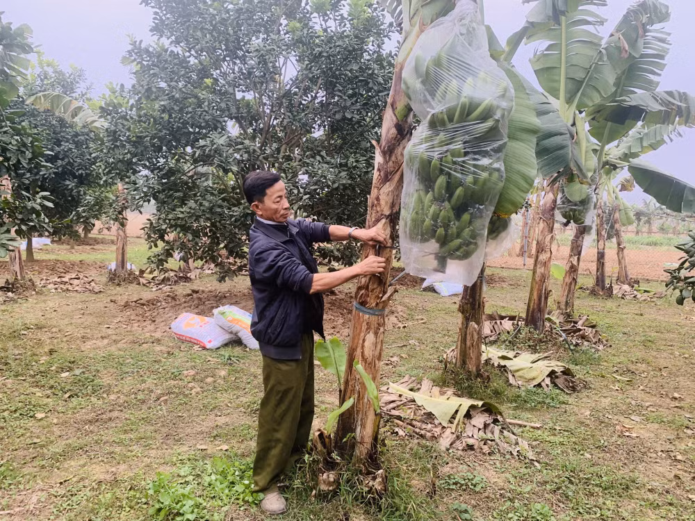 quyet tam de moi nguoi dan vinh phuc deu duoc huong thanh qua tu su phat trien hinh 7