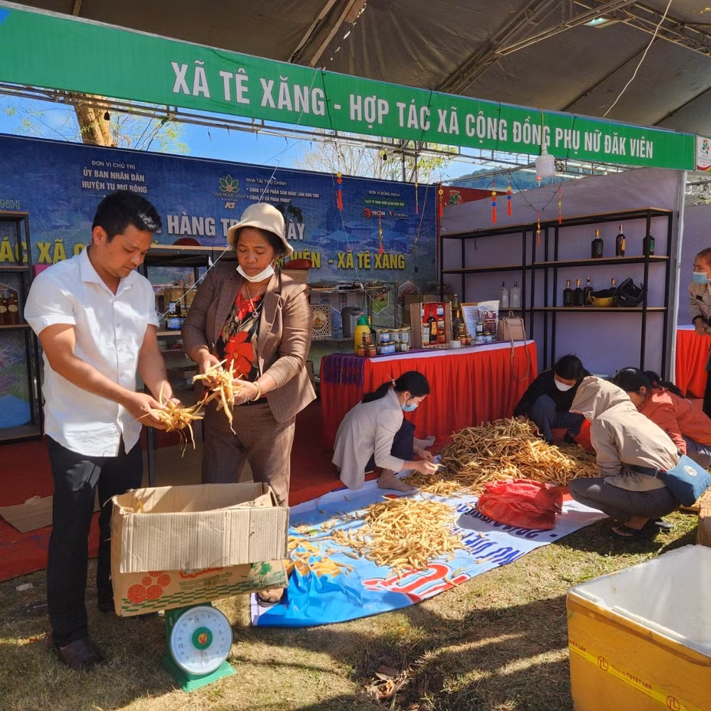 kon tum xay dung cac san pham ocop lien quan den sam ngoc linh de xuat khau hinh 1