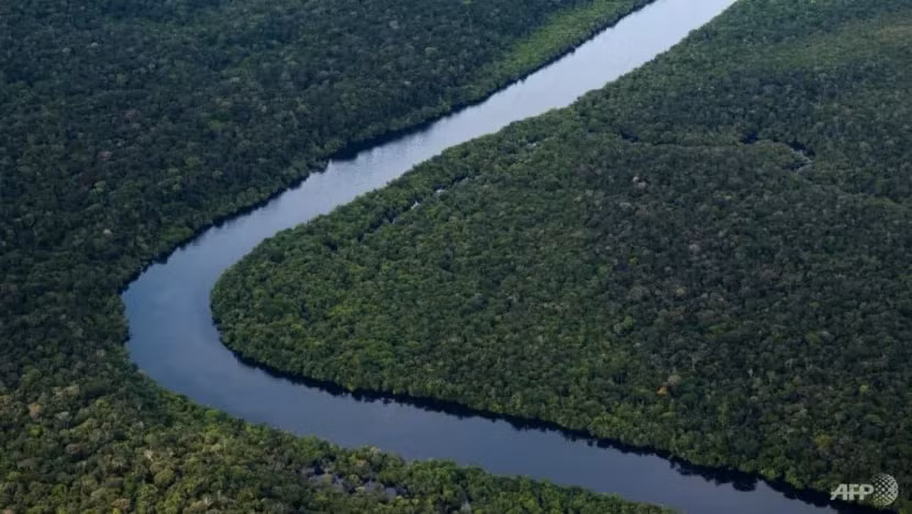 nan pha rung amazon cua brazil giam manh ke tu nam 2023 hinh 1