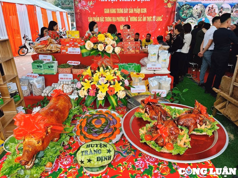 lang son hap dan le hoi ky cung ta phu hinh 5