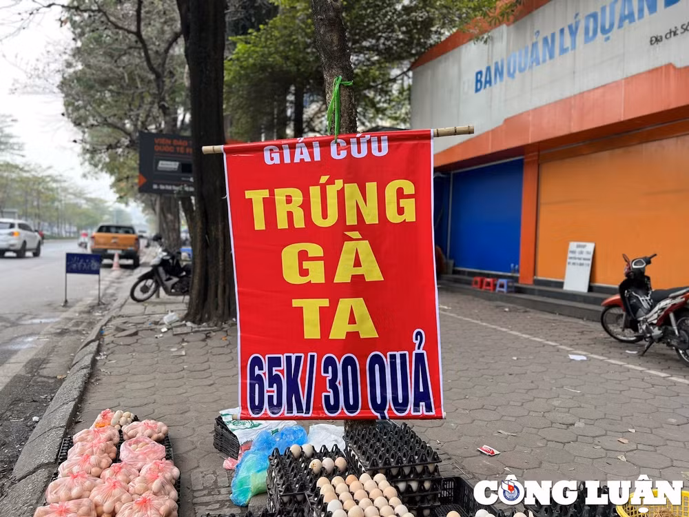 trung ga giai cuu gia 65000 dong 30 qua tran ngap via he ha noi hinh 1