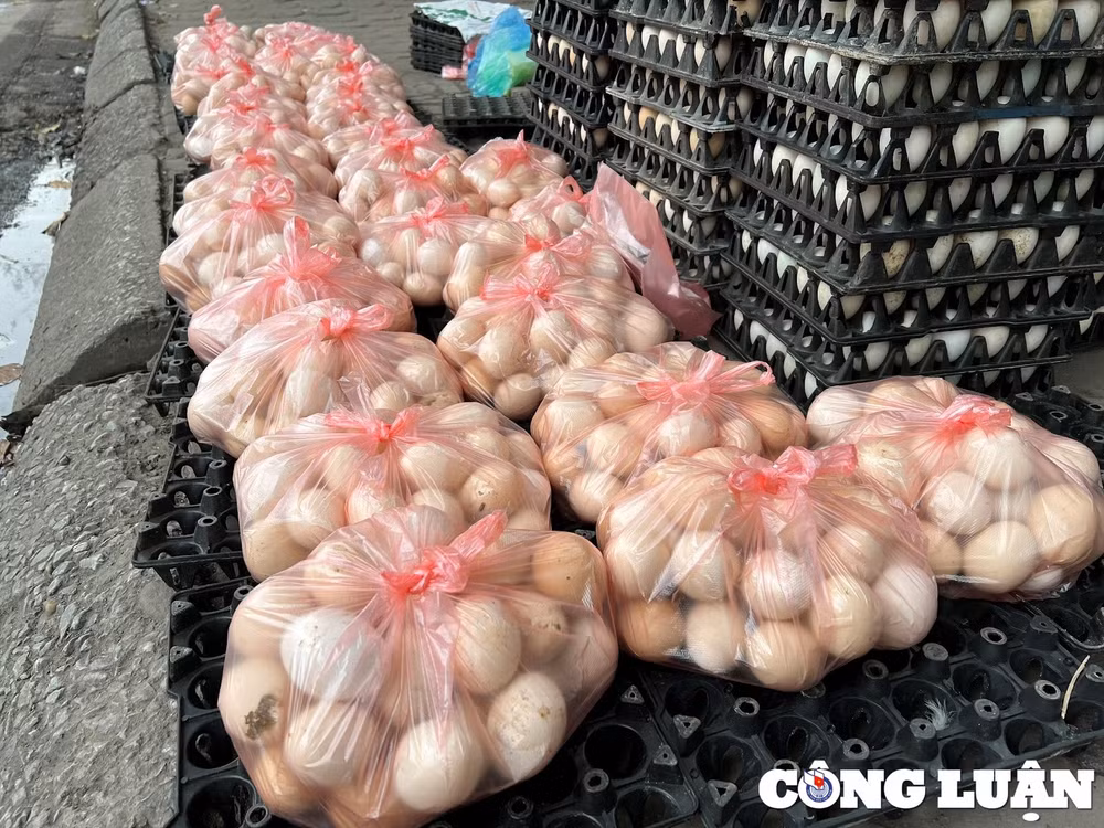 trung ga giai cuu gia 65000 dong 30 qua tran ngap via he ha noi hinh 2