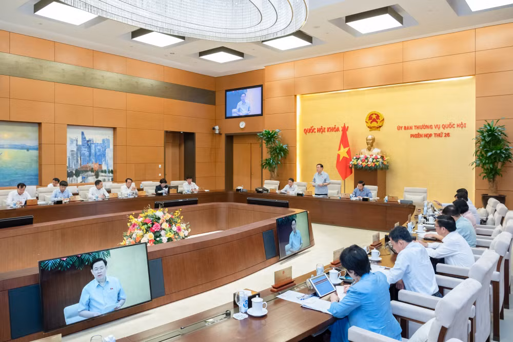 cho y kien nhieu vong de co duoc chat luong tot nhat ve cac du an luat hinh 3