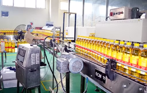 Hai doanh nghiệp từng niêm yết lâu năm là Vocarimex (VOC) và Bao bì Biên Hòa (SVI) vừa bị Ủy ban Chứng khoán Nhà nước hủy tư cách công ty đại chúng, sau khi cơ cấu sở hữu bị thâu tóm gần như tuyệt đối và tỷ lệ cổ đông nhỏ lẻ giảm về dưới 10%. Ảnh: TL.