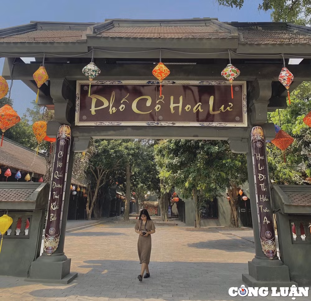 pho co hoa lu ninh binh diem hen van hoa hap dan ngay long thanh pho hinh 1