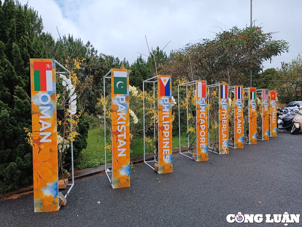 tung bung khai mac cuoc thi cam hoa nghe thuat quoc te da lat 2023 hinh 1