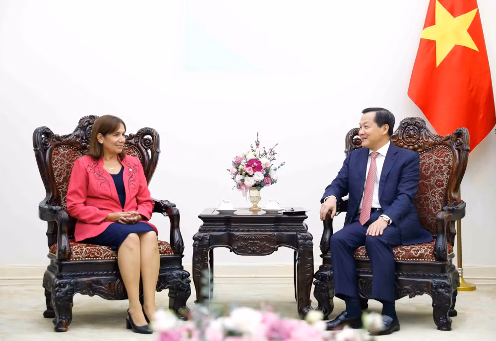 viet nam cuba day manh hop tac dua quan he phat trien di vao chieu sau thiet thuc hieu qua hinh 2