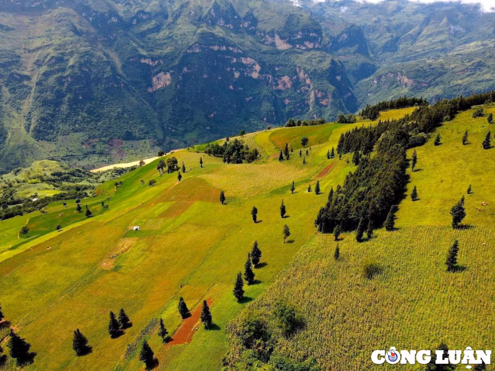 ngam nhin thao nguyen chau au o ha giang hinh 1