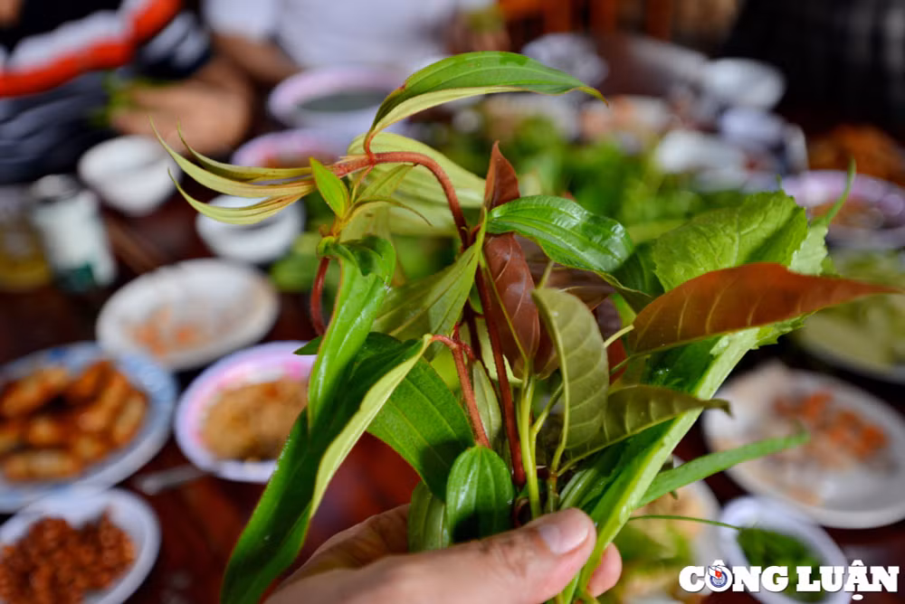 goi la kon tum mon an doc dao giua dai ngan tay nguyen hinh 6