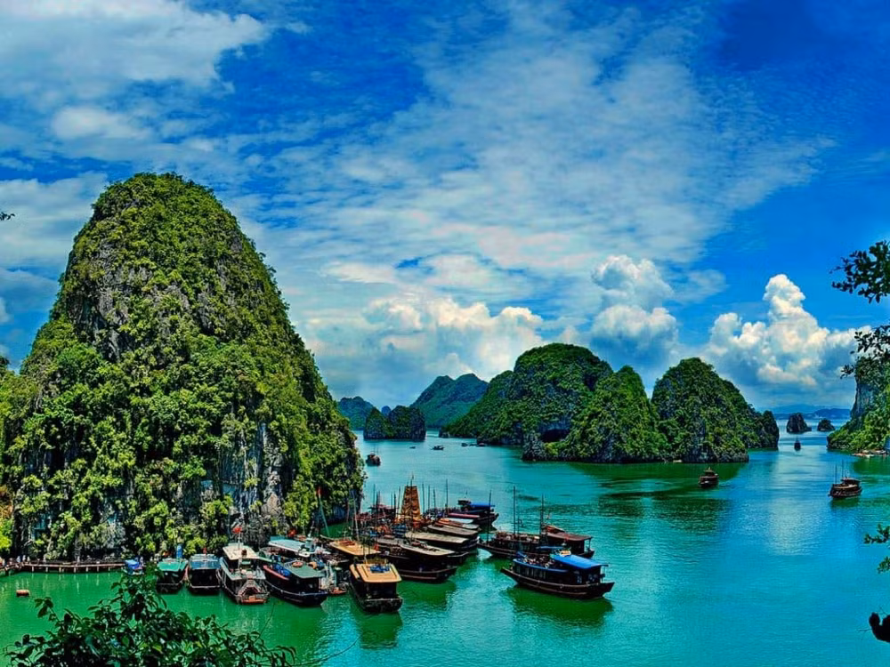 vinh ha long quan dao cat ba duoc cong nhan la di san thien nhien the gioi hinh 1