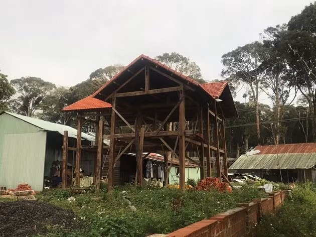 kon tum chinh quyen cham xu ly sai pham vu nha hang nup bong du an bao ton hoa phong lan hinh 4