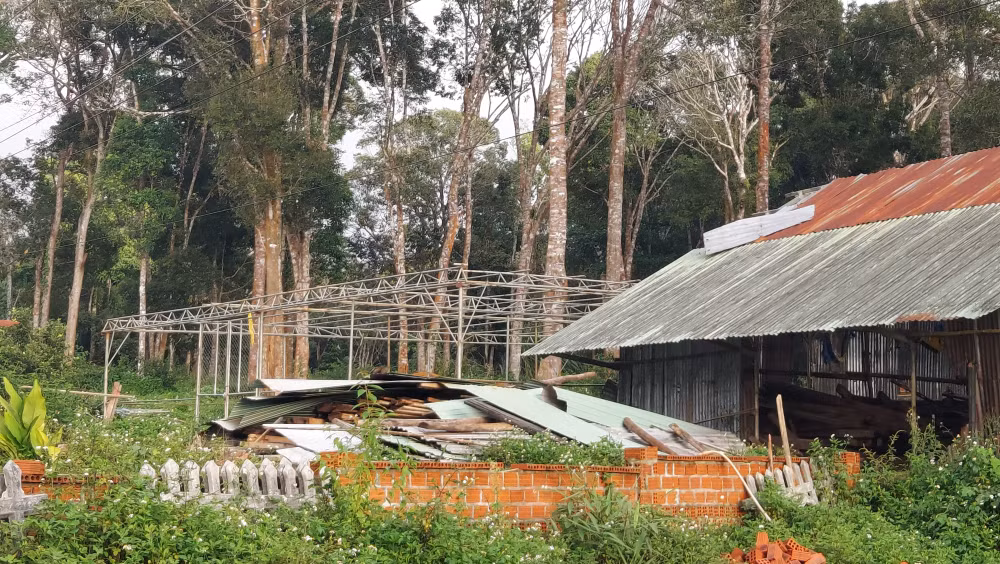kon tum chinh quyen cham xu ly sai pham vu nha hang nup bong du an bao ton hoa phong lan hinh 3