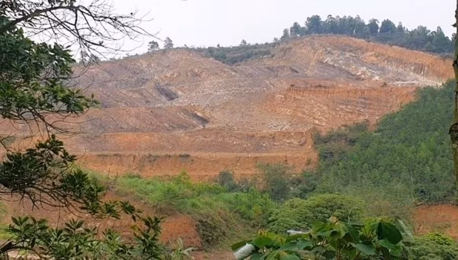 du an khu trong cay an qua cay duoc lieu tai quang ninh chu dau tu mua ban tai nguyen khoang san trai phep hinh 1