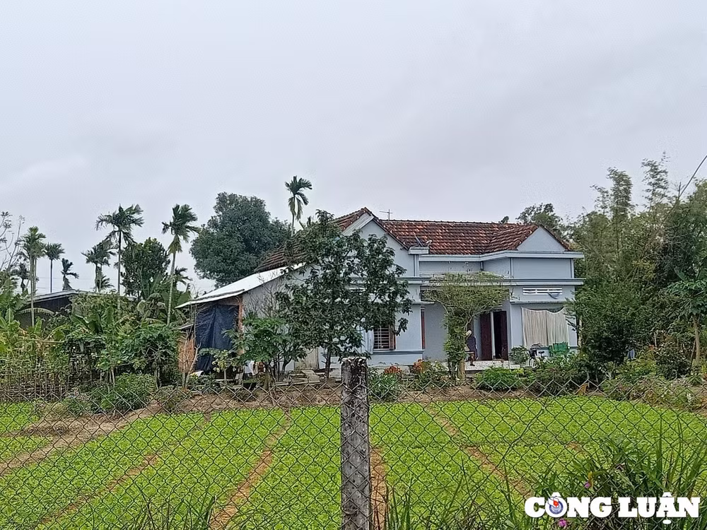 quang ngai ban an dan su hon 40 nam chua duoc thi hanh hinh 3