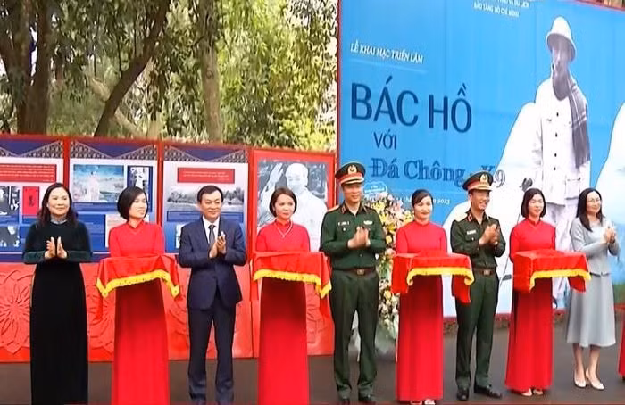 dau an bac ho voi da chong k9 hinh 1