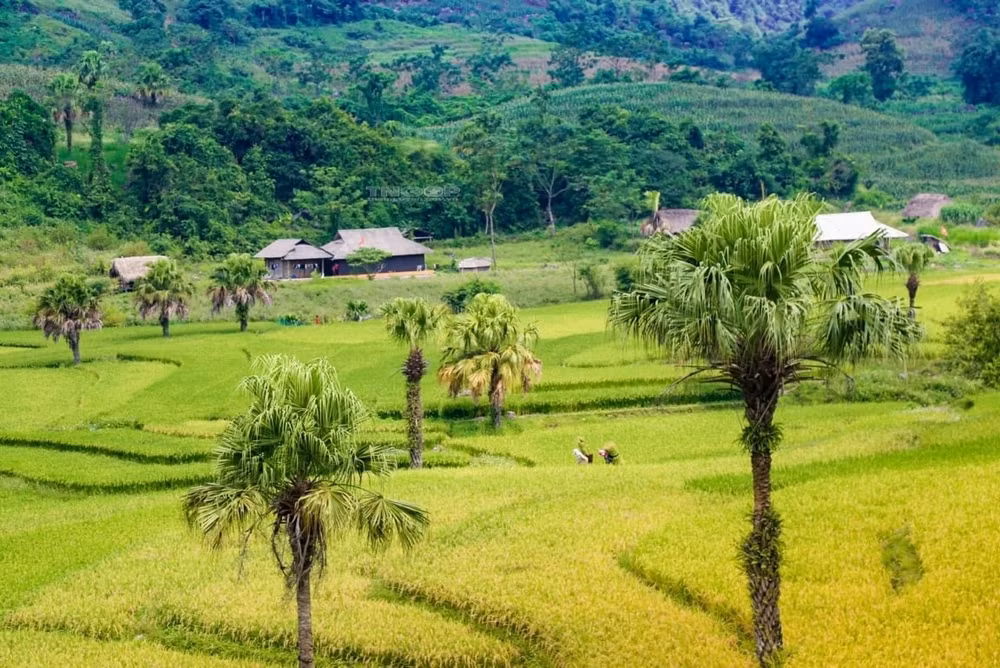 ngay hoi van hoa the thao dan toc mong dong hy dien ra ngay 21 4 hinh 1