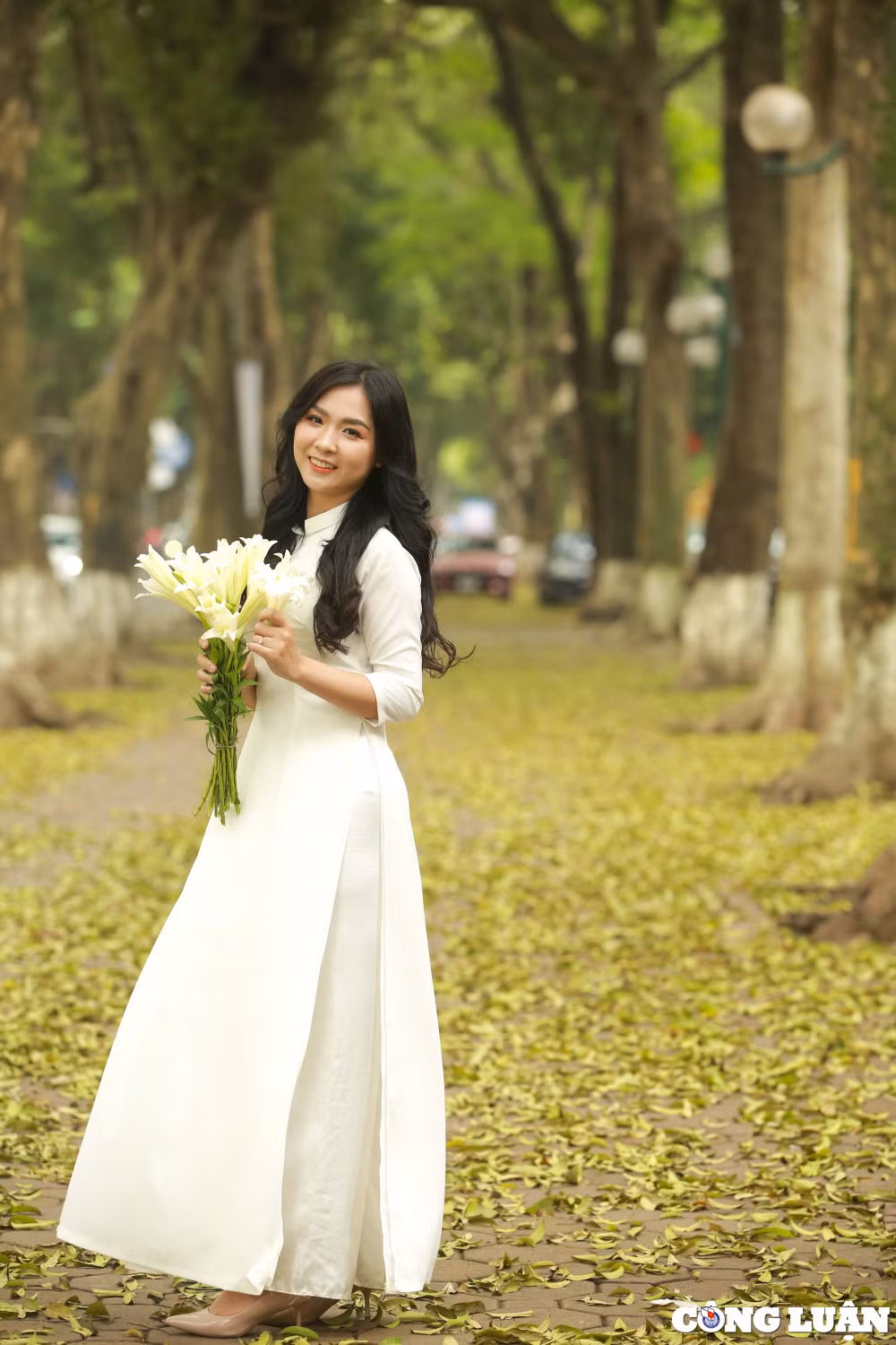 mua cay thay la trai tham vang tren con duong lang man nhat ha noi hinh 4
