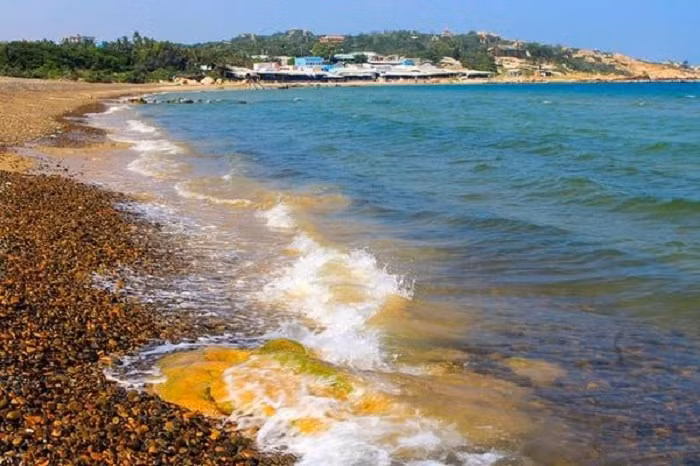 Ngày Đại dương Thế giới năm 2019 với chủ đề “Giới và Đại dương” (Gender and The Oceans). (Ảnh minh họa)