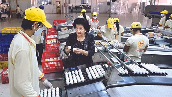 Các doanh nghiệp do phụ nữ làm chủ sẽ được tiếp cận nguồn tài chính và hoạt động đào tạo thiết yếu tại Việt Nam và Thái Bình Dương. (Ảnh TL)