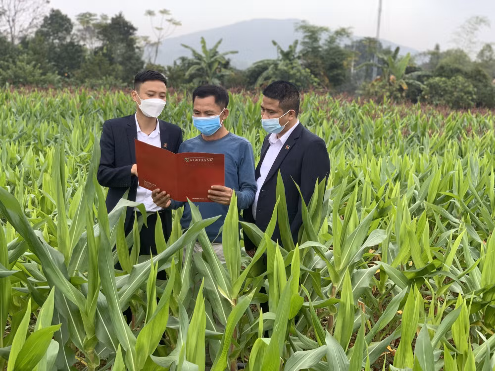 agribank khang dinh vai tro chu luc dau tu tam nong hinh 2