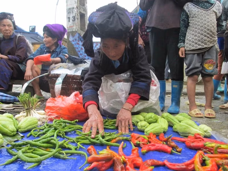 sac mau cho phien vung cao lai chau hinh 1
