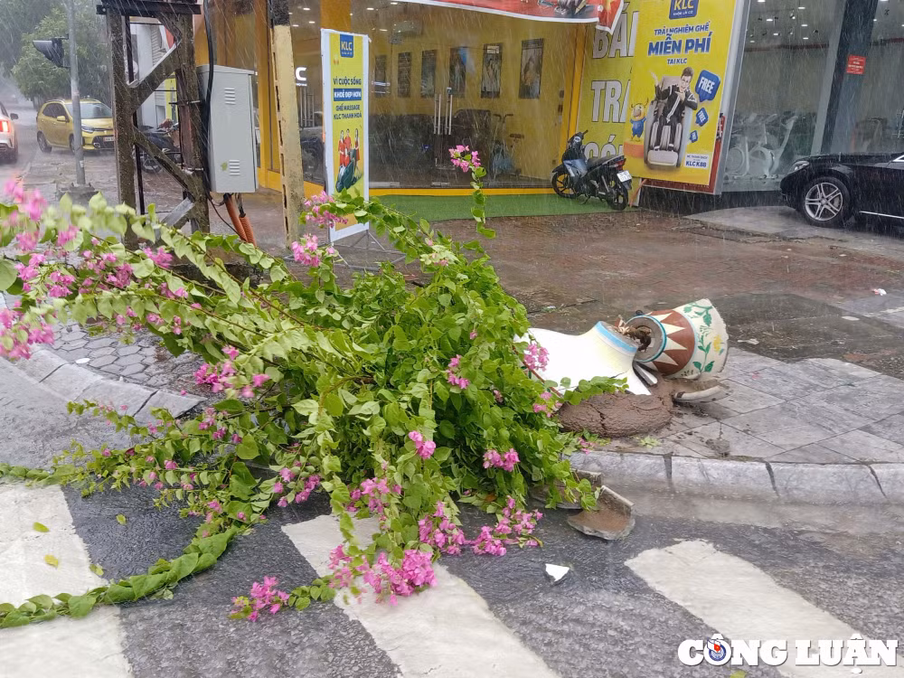 thanh hoa mua lon keo dai khien nhieu tuyen pho ngap sau trong nuoc hinh 5