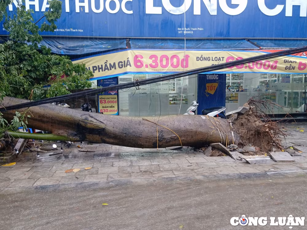 thanh hoa mua lon keo dai khien nhieu tuyen pho ngap sau trong nuoc hinh 3