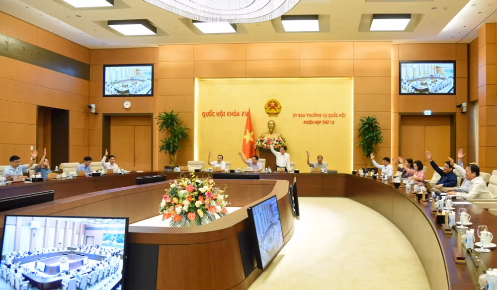 can co nghi quyet huong dan hoat dong giam sat van ban quy pham phap luat hinh 1